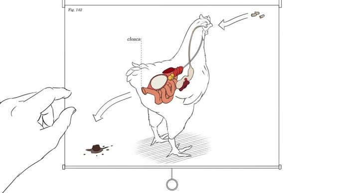 A diagram of a chicken's eating and excretion, from a Giant Sparrow game concept art